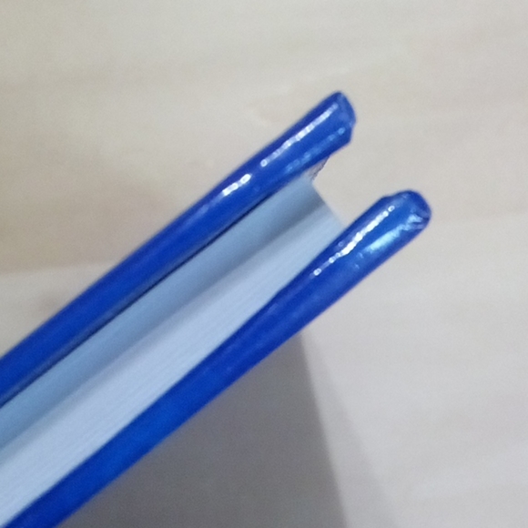 3/$15 Blue Floral Journal - Picture 3 of 4